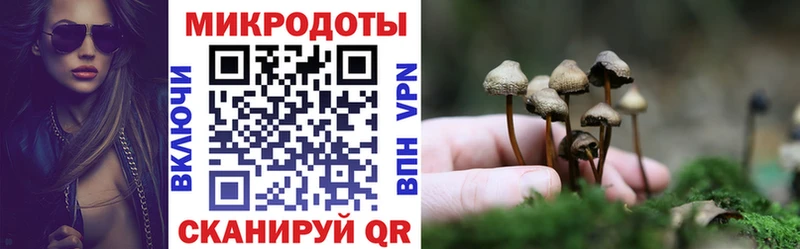 кракен зеркало  Барнаул  Псилоцибиновые грибы ЛСД 