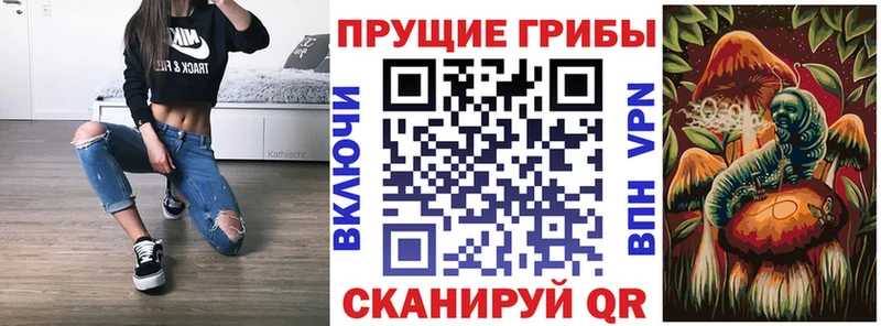 Галлюциногенные грибы мухоморы Барнаул